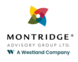 Montridge Advisory Group